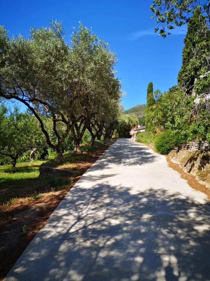 Villa Milanu Oletta  Eksteriør billede