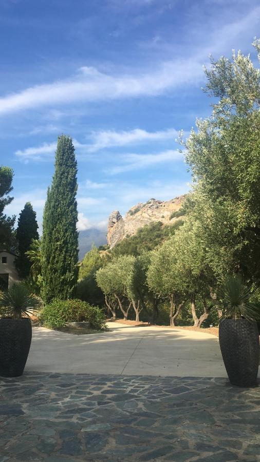 Villa Milanu Oletta  Eksteriør billede