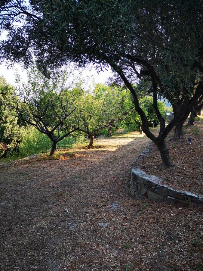 Villa Milanu Oletta  Eksteriør billede